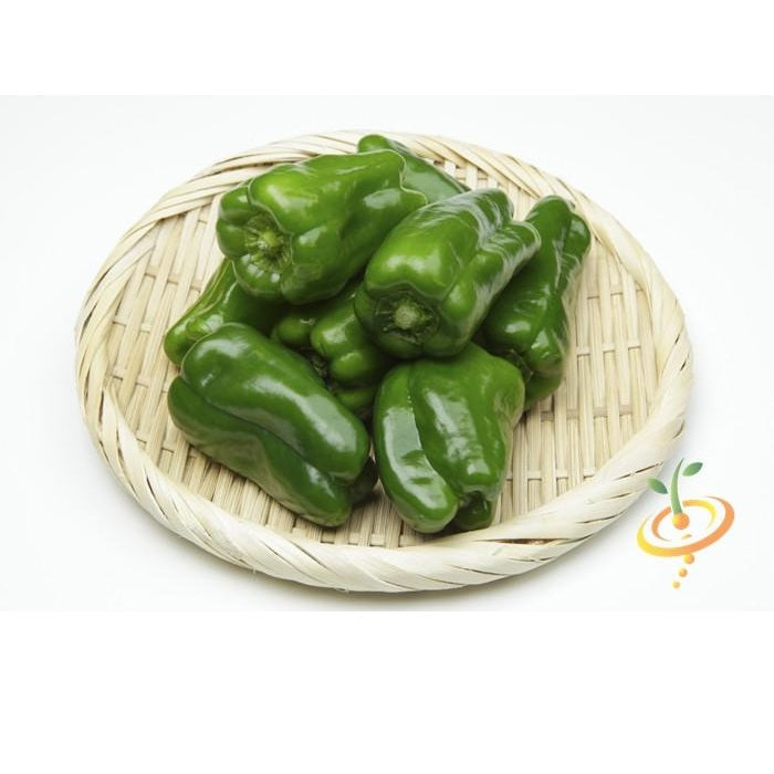 Semillas de aji picante ligero, Ancho Grande (100% Heirloom/No Híbrido/No GMO). 10 semillas aprox.