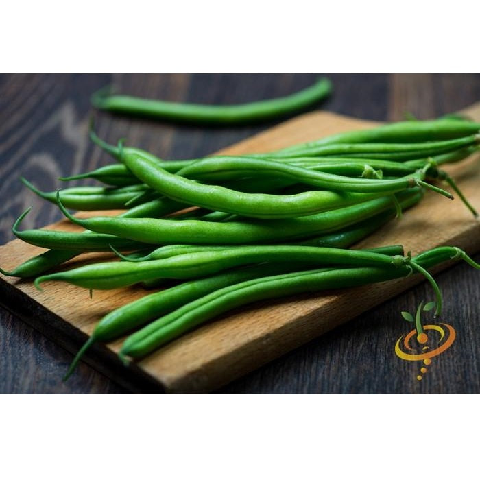 Semillas de frijol Bush, Landreth (100% Heirloom/No Híbrido/No GMO). 15 semillas aproximadamente.