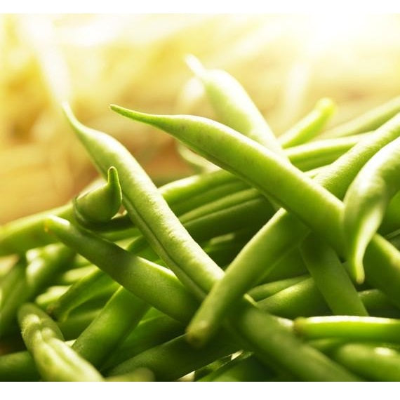 Semillas de frijol Bush, Landreth (100% Heirloom/No Híbrido/No GMO). 15 semillas aproximadamente.