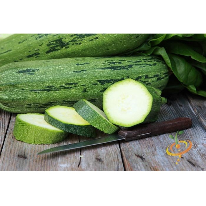 Semillas de zapallo, Cocozelle (100% Heirloom/No Híbrido/No GMO). 10 semillas aproximadamente