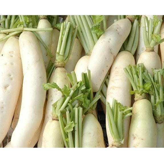 Semillas de rabano, Daikon / Minowase japonés (100% Heirloom/No Híbrido/No GMO). 120 semillas aprox.