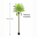 Planta de Coco Artificial Para Interior. Cocotero Decorativo. Altura de 350cm.