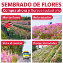 Semillas de Flores Silvestres Mix 4 Estaciones (1000 Semillas) + 1 fertilizante para Jardín, Paisajismo y Bordes de Camino, Alta Germinación, Floración Colorida.