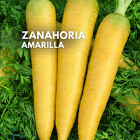 Semillas