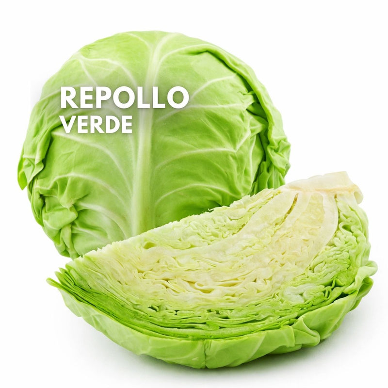 Semillas de Repollo Verde (Col) para Huerto y Agricultura (200 Semillas Aprox.) Alta Germinación, Ideal para Cultivo en Casa y Siembra Comercial