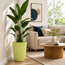 Maceta Alta Decorativa Beige con Acabado Cerámico Mate para Interior y Exterior D28.5*H37.7cm Resistente a Rayos UV.