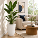 Maceta Alta Decorativa Blanca con Acabado Cerámico Mate para Interior y Exterior D35*H47cm Resistente a Rayos UV.