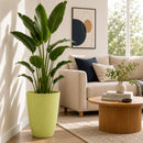 Maceta Alta Decorativa Beige con Acabado Cerámico Mate para Interior y Exterior D35*H47cm Resistente a Rayos UV.
