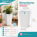 Maceta Cuadrada Alta Blanco con Acabado Cerámico Mate para Interior y Exterior L30*H55cm Resistente a Rayos UV.