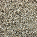 Semillas de zanahoria, Autum King (100% Heirloom/No Híbrido/No GMO). 100 semillas aproximadamente.