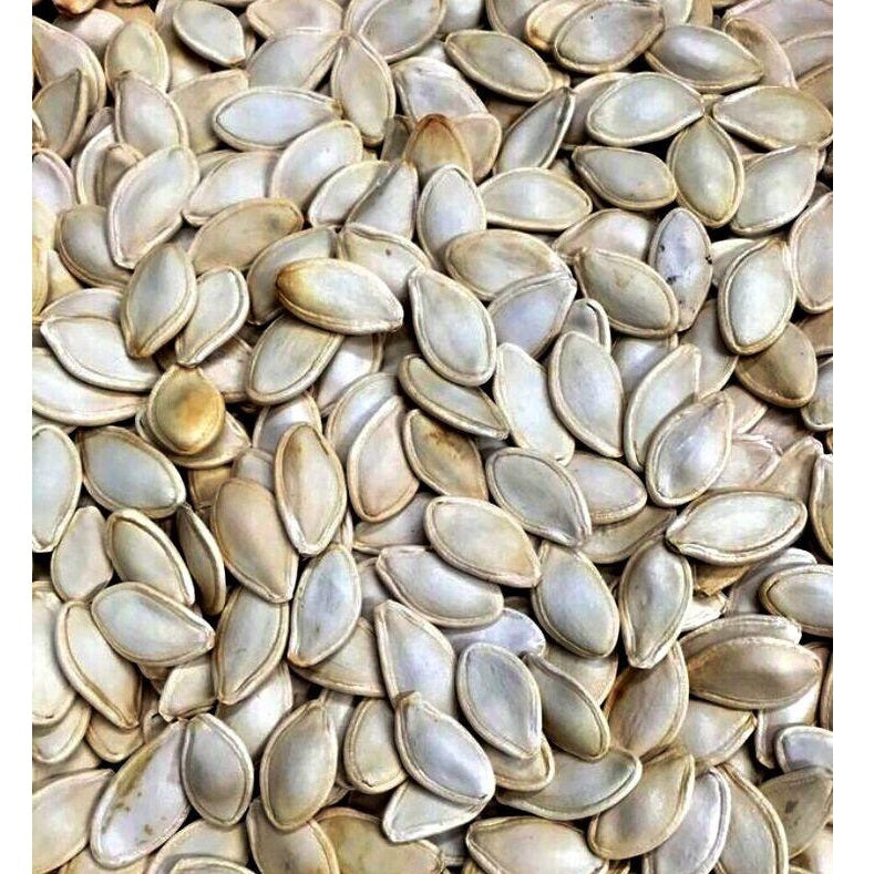 Semillas de zapallo (100% Heirloom / No Híbrida / No GMO). 10 semillas aproximadamente.