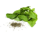 Semillas de albahaca, Canela (100% Heirloom/No Híbrido/No GMO). 50 semillas aproximadamente.