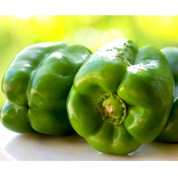 Semillas de pimenton dulce, Yolo Wonder (100% Heirloom/No Híbrido/No GMO). 15 semillas aprox.