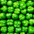 Semillas de pimenton dulce, Yolo Wonder (100% Heirloom/No Híbrido/No GMO). 15 semillas aprox.