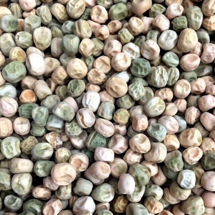 Semillas de guisantes wando (100% Heirloom/No Híbrido/No GMO). 15 semillas aproximadamente.