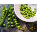 Semillas de guisantes wando (100% Heirloom/No Híbrido/No GMO). 15 semillas aproximadamente.