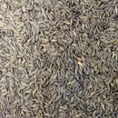 Semillas de lechuga, All Year (100% Heirloom/No Híbrido/No GMO). 200 semillas aproximadamente.