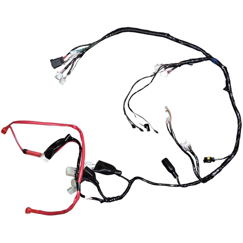 Harnes electrico (TNT150)