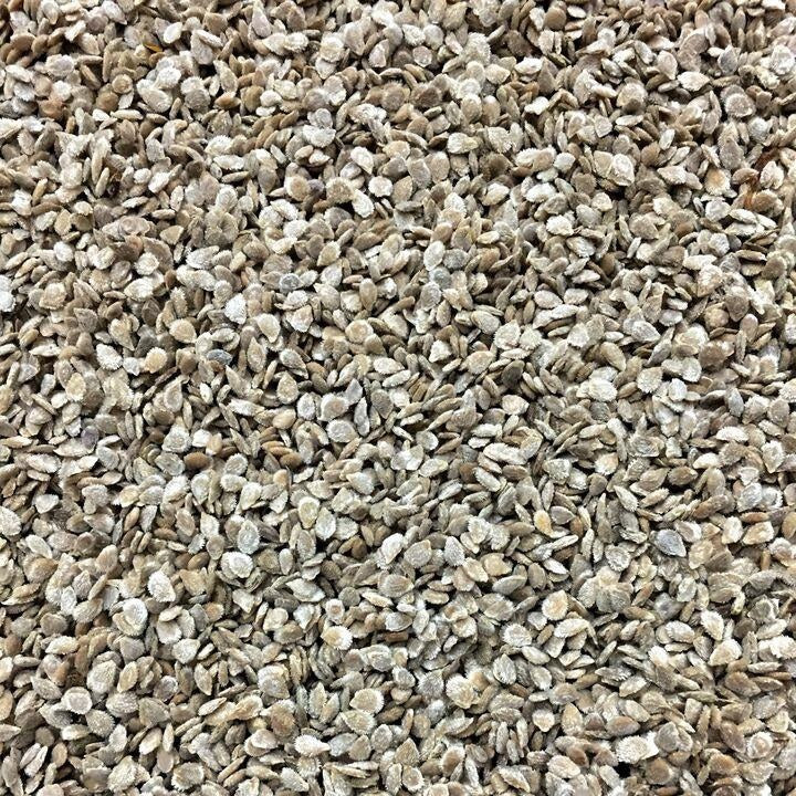 Semillas de tomate, Money Maker (100% Heirloom/No Híbrido/No GMO). 15 semillas aproximadamente