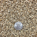 Semillas de tomate, Money Maker (100% Heirloom/No Híbrido/No GMO). 15 semillas aproximadamente