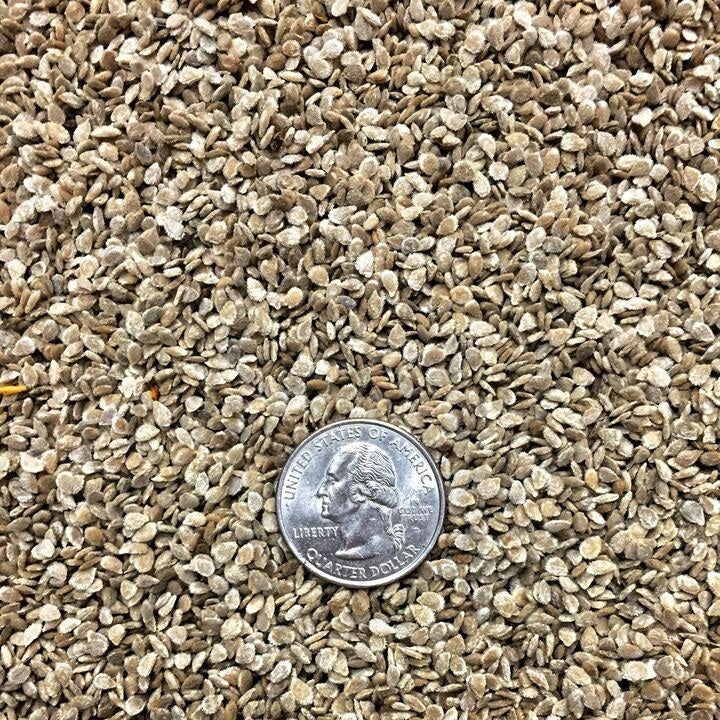 Semillas de tomate, Money Maker (100% Heirloom/No Híbrido/No GMO). 15 semillas aproximadamente