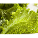 Semillas de hojas de mostaza, Green Wave (100% Heirloom/No Híbrido/No GMO). 30 semillas aprox.