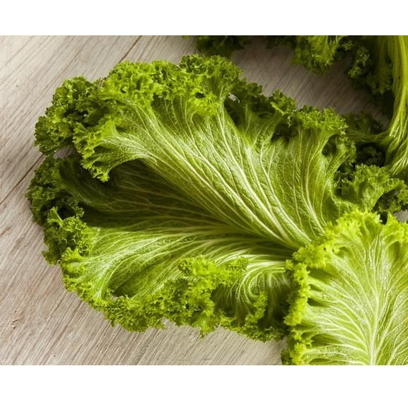 Semillas de hojas de mostaza, Green Wave (100% Heirloom/No Híbrido/No GMO). 30 semillas aprox.