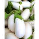 Semillas de berenjena, Casper blanco (100% Heirloom/No Híbrido/No GMO). 10 semillas aproximadamente.