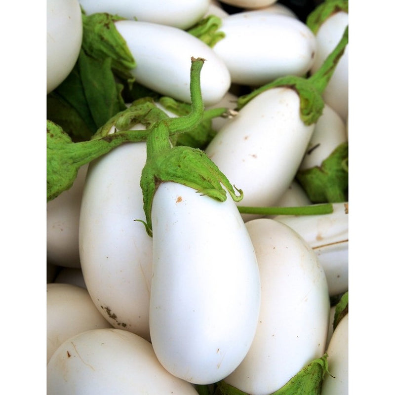 Semillas de berenjena, Casper blanco (100% Heirloom/No Híbrido/No GMO). 10 semillas aproximadamente.