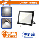 Lampara Reflectora LED 30W 3000K 110-240V ~ 50 / 60Hz. Luz Cálida. IP65. Sin enchufe. Luz de Inundación.