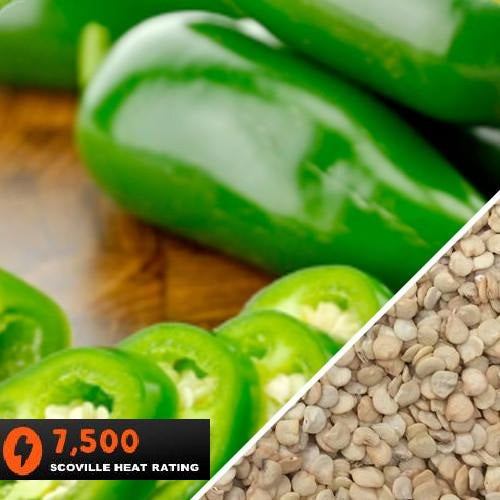 Semillas de aji (HOT) Early Jalapeño (100% Heirloom/No Híbrido/No GMO). 15 semillas aproximadamente.