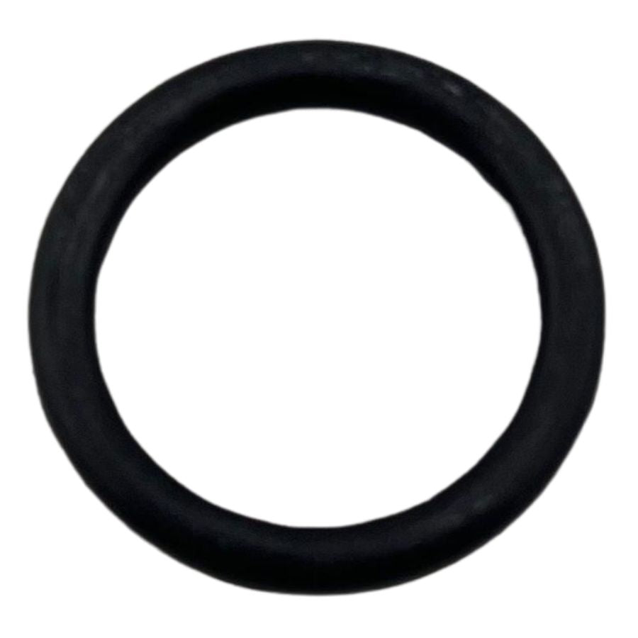 O ring (RKG150)