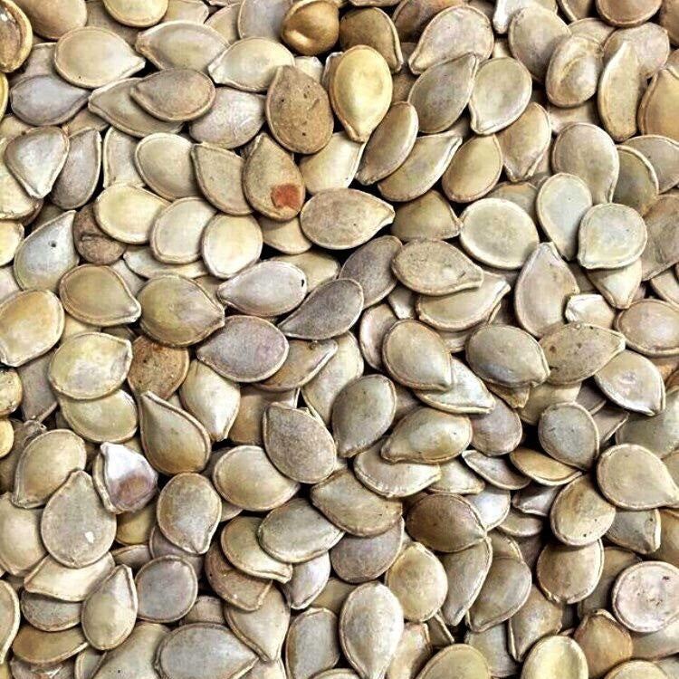 Semillas de zapallo, Jack be Little (100% Heirloom/No Híbrido/No GMO). 10 semillas aproximadamente