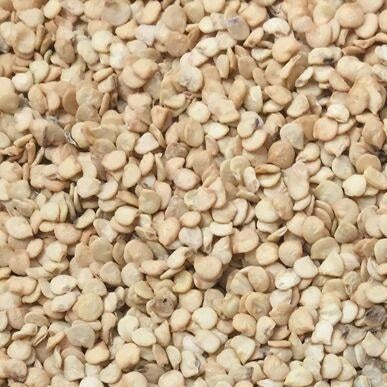 Semillas de aji (HOT) Early Jalapeño (100% Heirloom/No Híbrido/No GMO). 15 semillas aproximadamente.