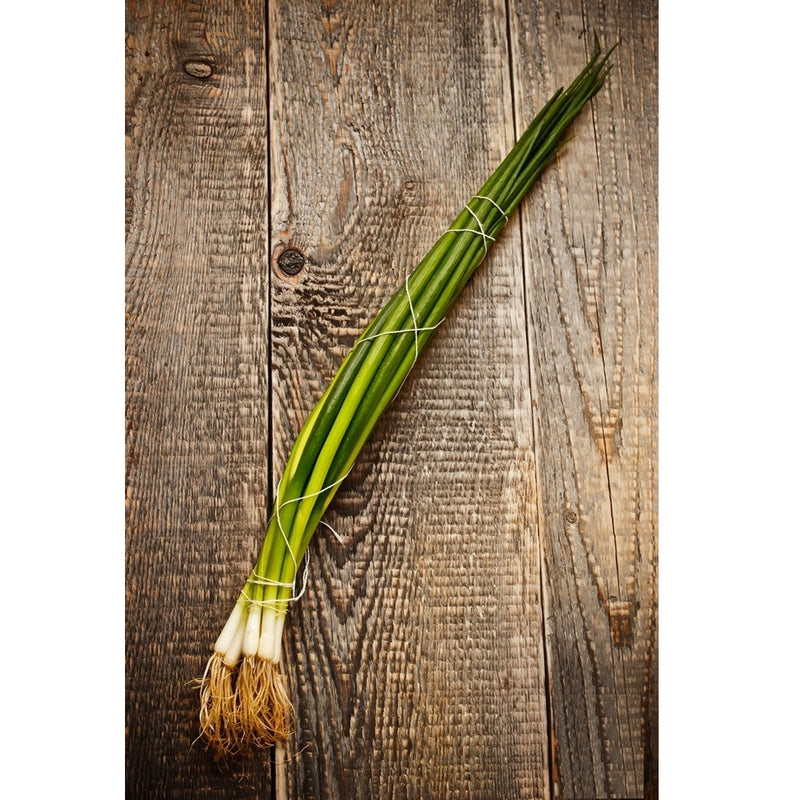 Semillas de cebollin, Evergreen Bunching (100% Heirloom/No Híbrido/No GMO). 100 semillas aprox.