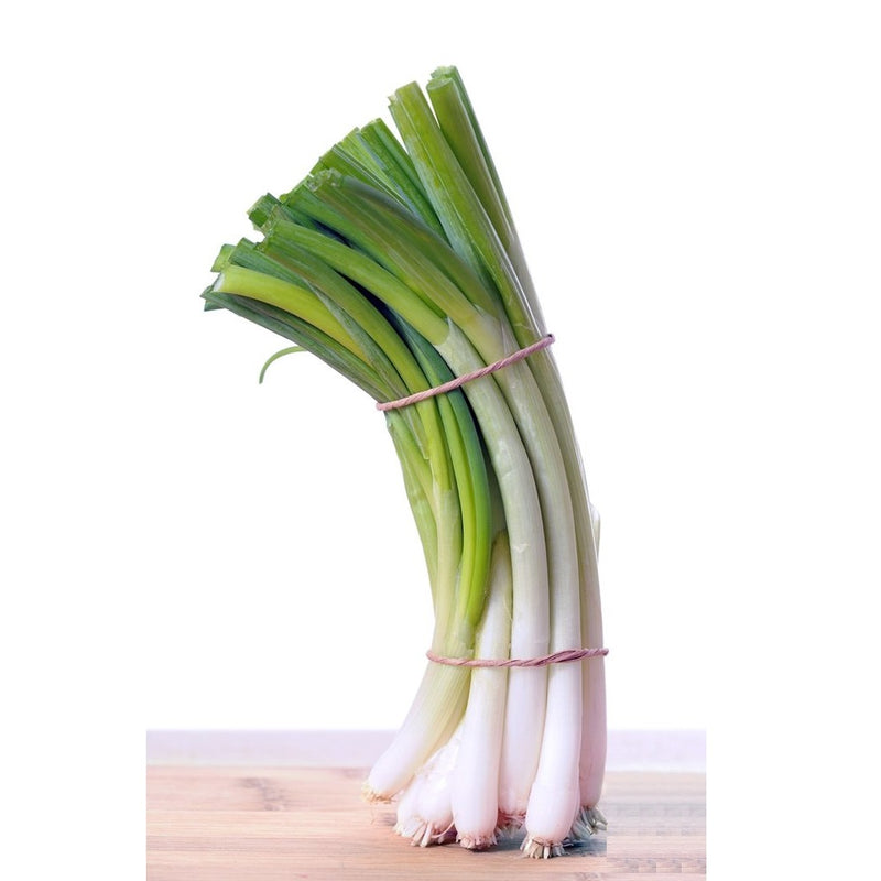 Semillas de cebollin, Evergreen Bunching (100% Heirloom/No Híbrido/No GMO). 100 semillas aprox.