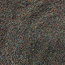 Semillas de brocoli morado (100% Heirloom/No Híbrido/No GMO). 20 semillas aproximadamente.