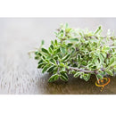 Semillas de tomillo (100% Heirloom/No Híbrido/No GMO). 310 semillas aproximadamente.