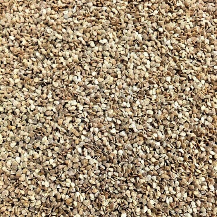 Semillas de tomate cherry blanco (100% Heirloom/No Híbrido/No GMO). 15 semillas aproximadamente