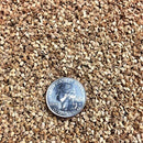 Semillas de tomate cherry blanco (100% Heirloom/No Híbrido/No GMO). 15 semillas aproximadamente