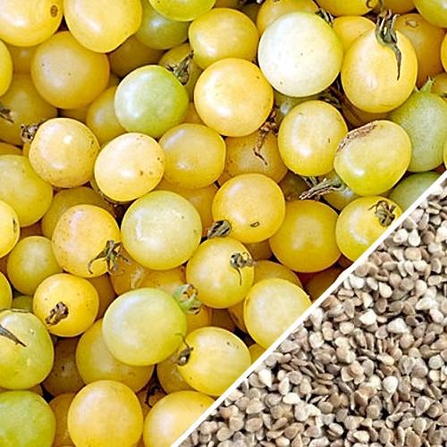 Semillas de tomate cherry blanco (100% Heirloom/No Híbrido/No GMO). 15 semillas aproximadamente
