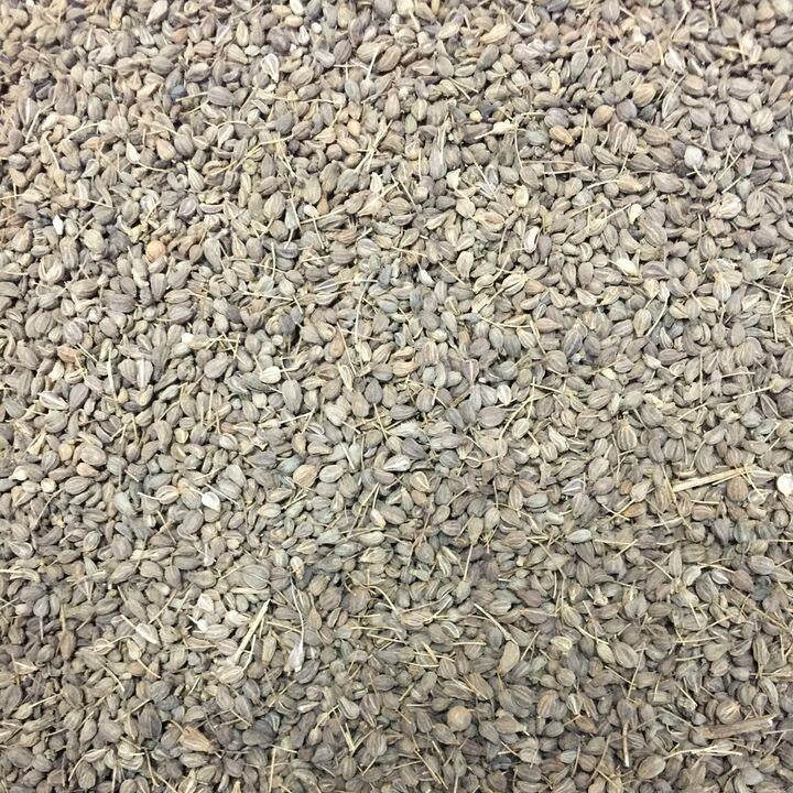 Semillas de anis (100% Heirloom/No Híbrido/No GMO). 100 semillas aproximadamente.