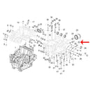 Sensor De Presion Minima De Combustible (302S / LEONCINO500 / TRK502X / TNT600 / 752S)