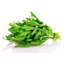 Semillas de rucula, Roquette (100% Heirloom/No Híbrido/No GMO). 150 semillas aproximadamente.