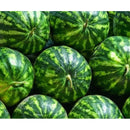 Semillas de sandia, Crimson Dulce (100% Heirloom / No Híbrido / No GMO). 10 semillas aproximadamente