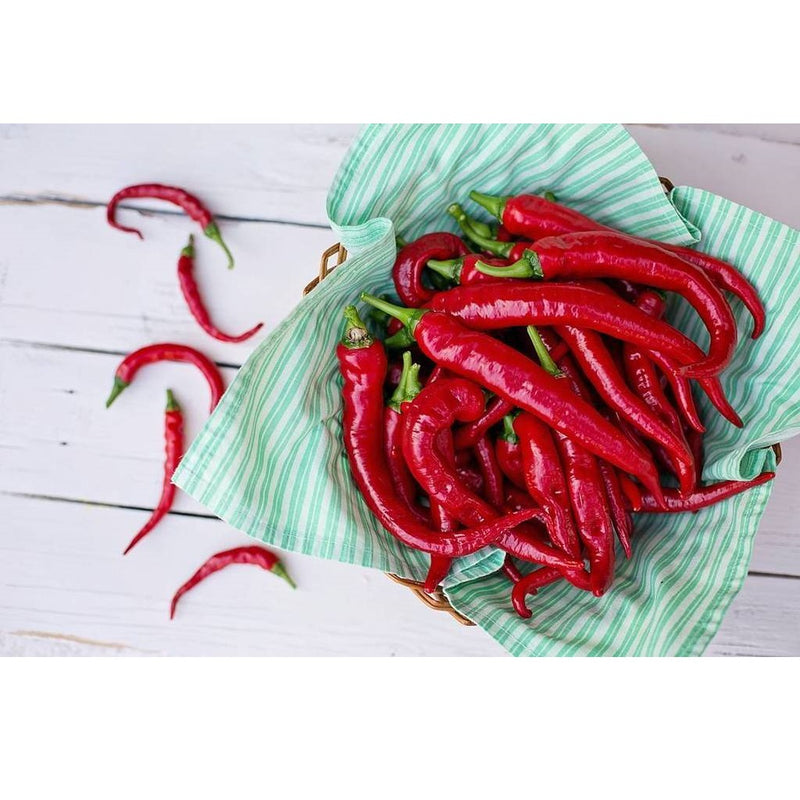 Semillas de aji (HOT) Cayenne Long Thin (100% Heirloom/No Híbrido/No GMO). 10 semillas aprox.