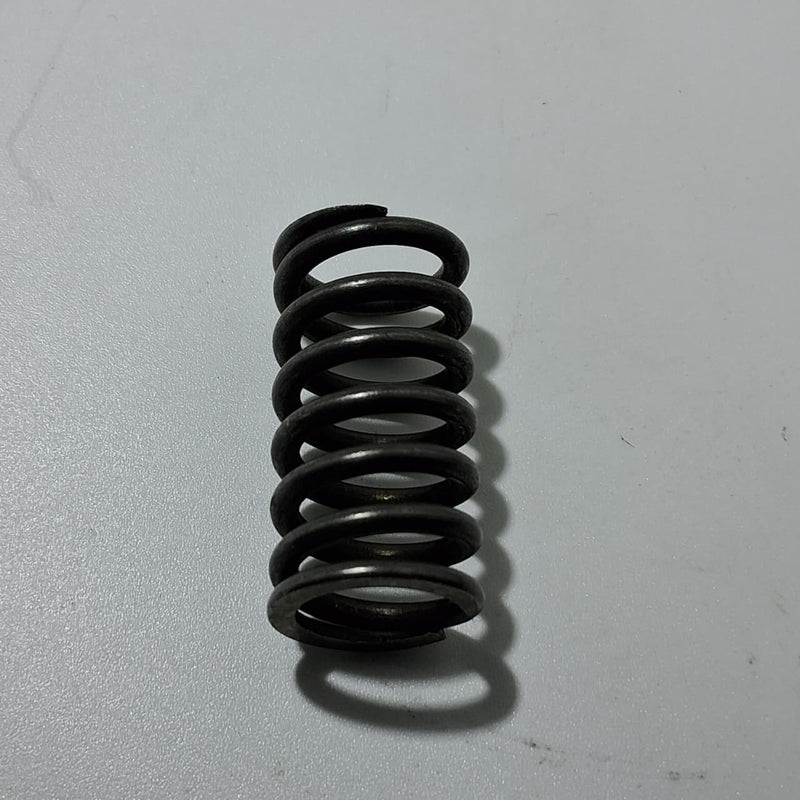 Resorte de embrague (RKG150)