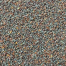 Semillas de coliflor, todo el año (100% Heirloom/No Híbrido/No GMO). 70 semillas aproximadamente.