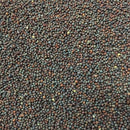 Semillas de brocoli, Calabrese (100% Heirloom/No Híbrido/No GMO). 50 semillas aproximadamente.