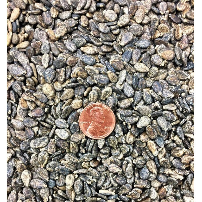 Semillas de sandia, all sweet (100% Heirloom / No Híbrido / No GMO). 10 semillas aproximadamente